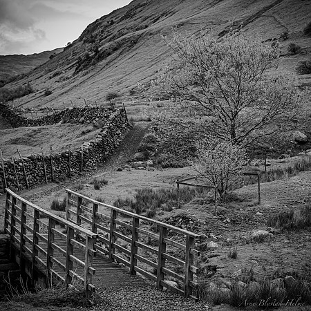 Cumbria, 2019. Leica SL with Summilux-SL 1.4/50mm ASPH.