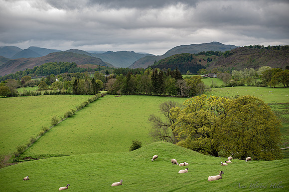 Cumbria, 2019. Leica SL with Summilux-SL 1.4/50mm ASPH.