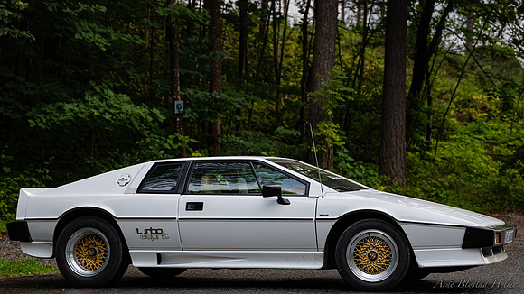 1984 Lotus Esprit Turbo, 2019. Leica SL with 24-90mm.